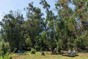 Campings Camping Sole Di Sari : photos des chambres