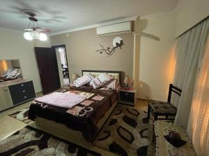 ڤيو نيلي في الزمالك