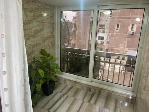 ڤيو نيلي في الزمالك