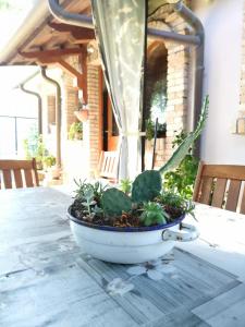 La Casina del Delta del Po