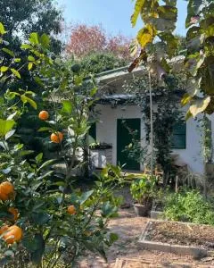 Kradandam Home & Cafe - Kaengsopha