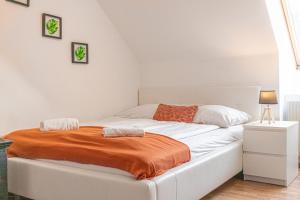 Beautiful 2BR Apartment Ideal for Long stays