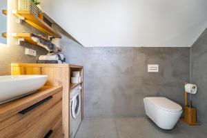 Podkrovní apartmán Studnice