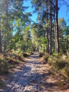 B&B / Chambres d'hotes Les Glycines : photos des chambres