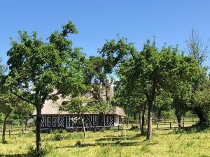 Chaumière normande, les pommiers proches de la mer