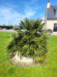 B&B / Chambres d'hotes Pleuca-Dort : photos des chambres