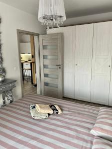 Apartament na Skrzypka