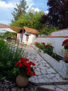 B&B / Chambres d'hotes Lo Vielh Ostal : photos des chambres