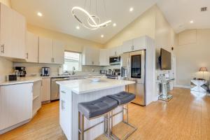 Watch Dolphins St Augustine Gem Near Downtown!