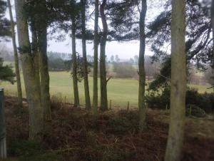 Comfy golf course view in Lilliardsedge