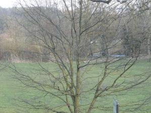 Holme View, Masham
