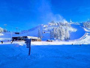 RukaHillChalet1 Ski In - Ski Out