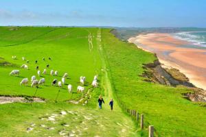 Appartements La Petite Matelote Appartement lumineux - vue Cathedrale : photos des chambres