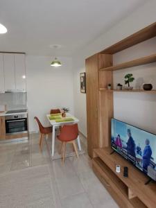 Tirana Terminal Apartments