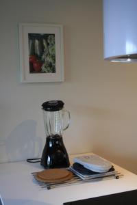 Air conditioned condo downtown with lake view