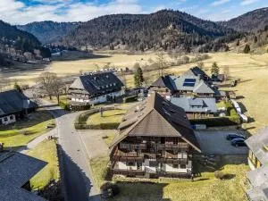 Galeriewohnung in Menzenschwand - Äule