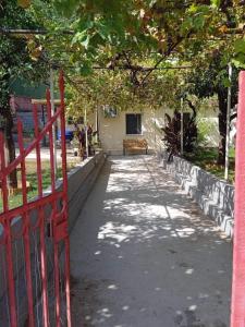 Octopus Garden, Poros-Kefalonia