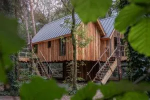 New Unique Treehouses with hot tub in Oisterwijk - 奥斯特韦克
