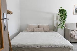 Cozy 1 bedroom apartment with a free parking spot