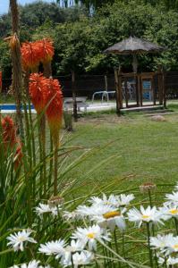 Casa de Campo - La Filomena