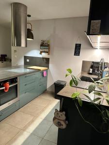 Villas Villa La Sittelle : photos des chambres