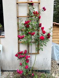 Villas Villa La Sittelle : photos des chambres