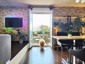 Appartements Cocoon'Inn Blagnac : photos des chambres