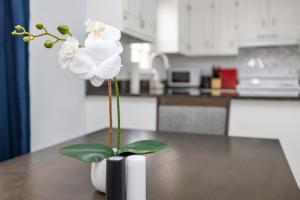 New! Special Rate for First Bookings! 2 Bedroom