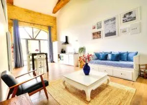 Loft au cœur des vignes dans un ancien Chai - Charnay