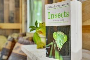 Solar-Powered Brandon Studio Cabin Hiking Access