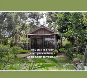 Private Cabin and private Kitchen - Experience serenity, and beautiful nature - Dambulla