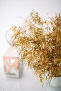 Gerês Country Stays- FLOR - Comfort and tranquility with a stunning view