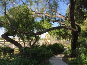 The Bryan House,History & Nature Meet!
