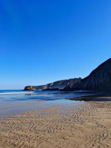 Apartamento con jardín