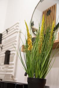 Apartament Premium Yellow Loft Reda