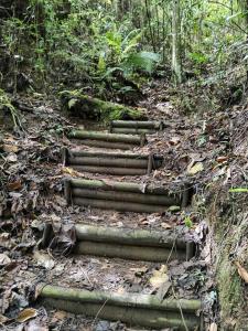 Hospedaje Campestre Providencia