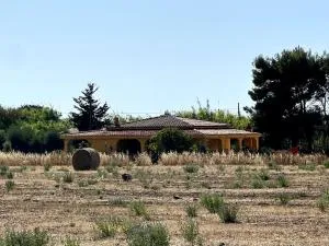 Villa Pedras De Fogu - Monte Marzeddu