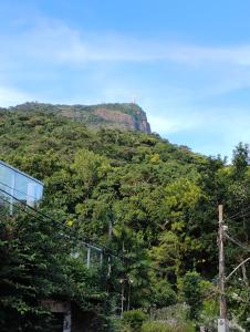 casa na zona sul, Jardim botânico