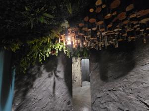 LEscargot - Maison avec espace bien être privatif