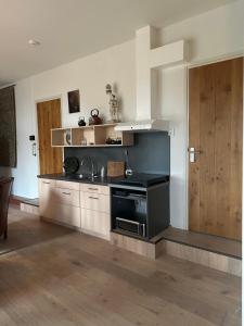 Onder de paardenkastanje