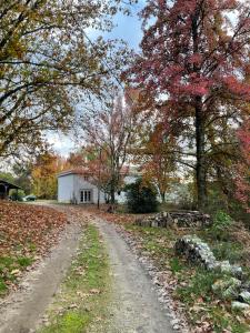 Maisons de vacances Le domaine du Martinet : photos des chambres