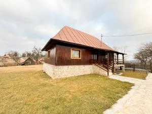 Căsuțele din Poiană - Făget