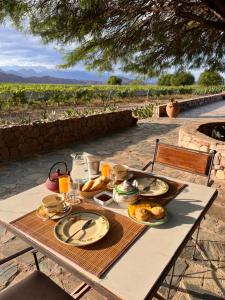 Casa de Huéspedes y Bodega Chañarmuyo
