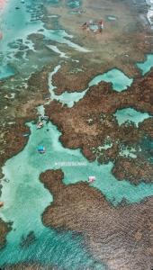 Flat Moderno em Porto de Galinhas com vista Mar e restaurante na cobertura