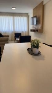 Complejo Coirón Premium