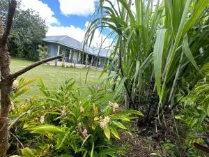 Anas place Siusega - Maninoa