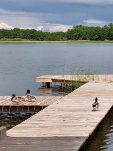 Domki Lawendowy Zakątek