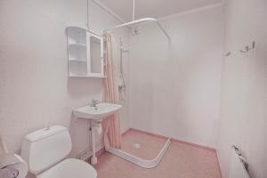 Central two room apartment in Junsele