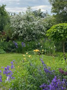 Christianes Apartment - Ebstorf