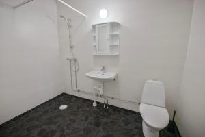 Central apartmens in Junsele